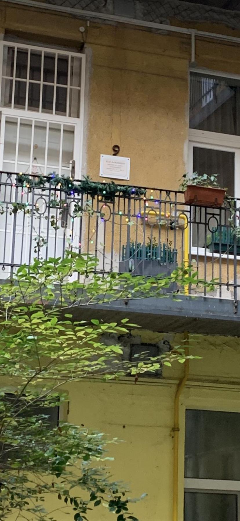 Eliz * Budapeste